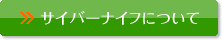 �T�C�o�[�i�C�t�ɂ���