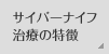 �T�C�o�[�i�C�t���Â̓���