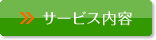 �T�[�r�X���e