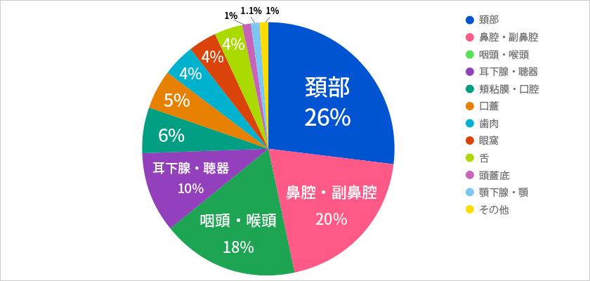治療件数の内訳 : 頭頸部症例