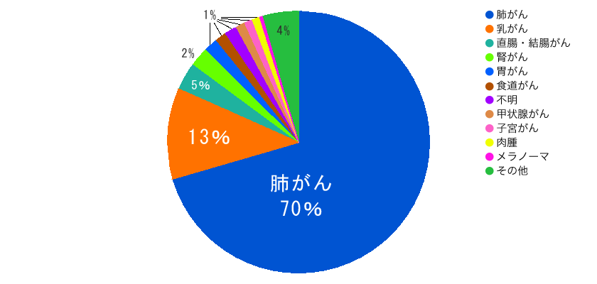 転移性脳腫瘍　原発巣内訳