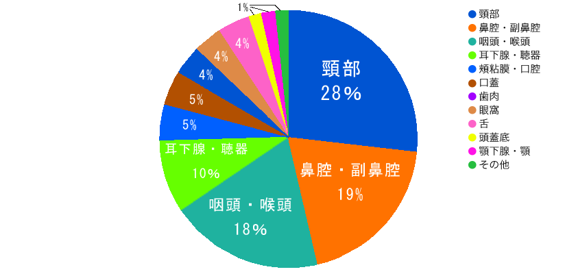 治療件数の内訳 : 頭頸部症例